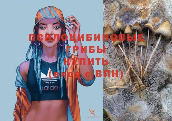 бутират Бугульма