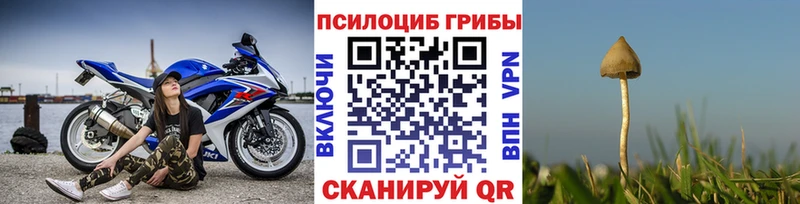 наркотики Гаврилов Посад Псилоцибиновые грибы Cubensis